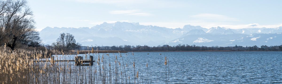Morgenlicht über einem ruhigen See im Zürcher Oberland